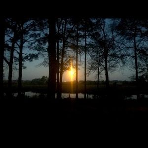 I will bundle two or more likes for ya and save on shipping too!